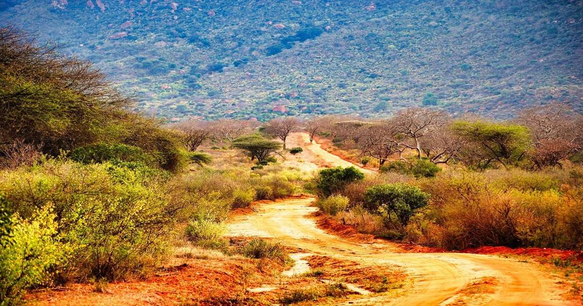 typowa droga na bezdrożach Afryki