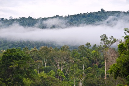 Argentyna Brazylia Urugwaj z Amazonią Argentyna Brazylia Urugwaj z Amazonią
