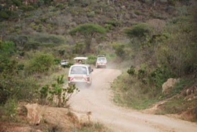 Safari w Afryce Tanzania Zanzibar Safari w Afryce Tanzania Zanzibar