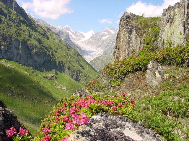Wycieczka po Szwajcarii “W krainie Wilhelma Tella”