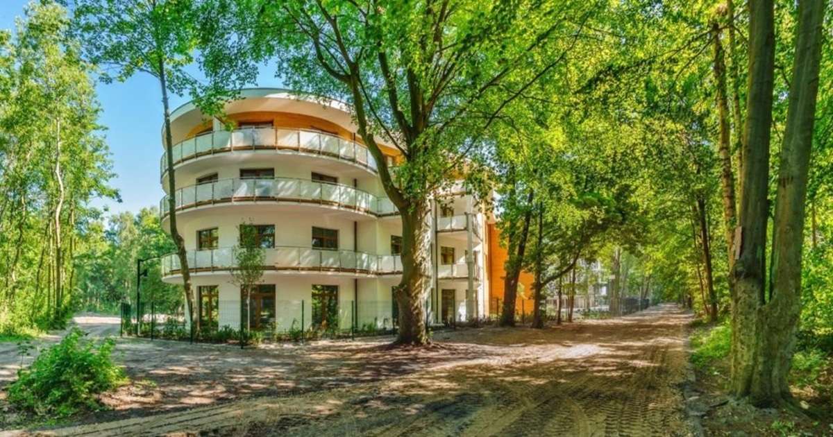 widok na ukryte w nadbałtyckim lesie apartamenty na Helu