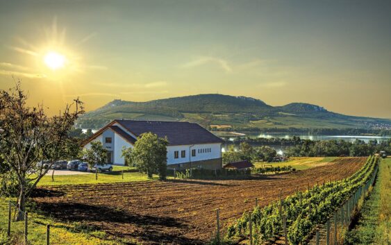 znane z pięknych winnic, świetnych win i Morawskiego Krasu południowe Morawy w Czechach
