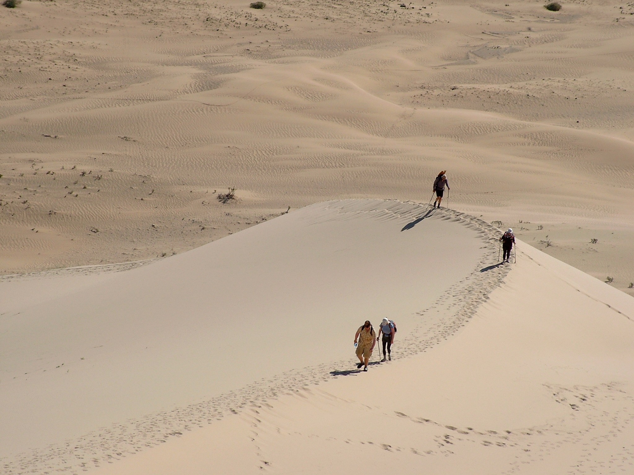 wycieczka objazdowa po Mongolii ze zwiedzaniem pustyni Gobi
