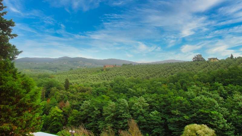 toskański krajobraz z winnicami w Vinci