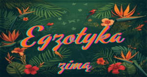 PODRÓŻE EGZOTYCZNE