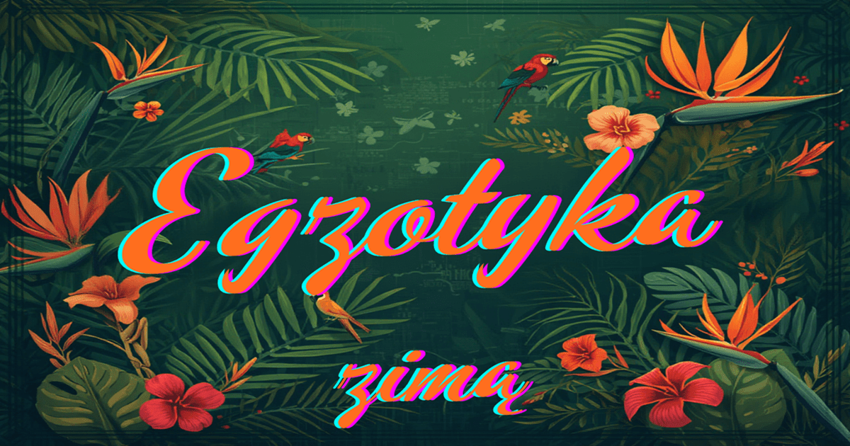 baner reklamujący egzotyczne wycieczki