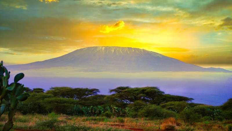 widok z sawanny i buszu w Parku Narodowym Amboseli  na górę Kilimandżaro
